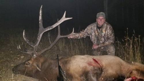 Thane Page - Gun Elk - New Mexico 5x6