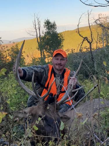 Brandon North - Colorado Elk - Black Powder