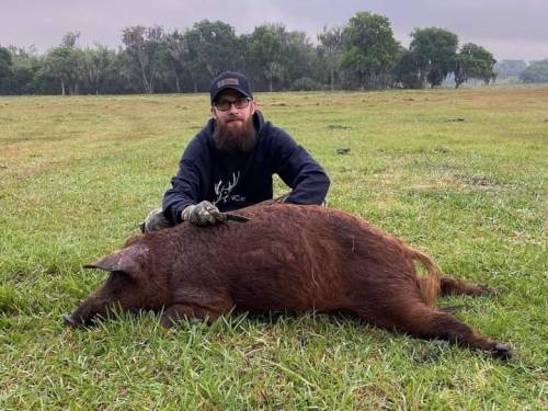 Tim Nelson - Florida Hog