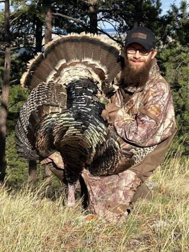 Tim Nelson - Montana Merriam Turkey