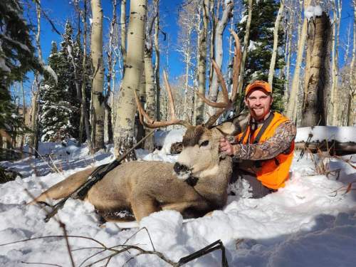 Shane North - Colorado Gun
