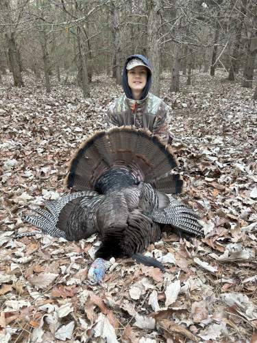 Chad Ludwig Son - Chippewa County