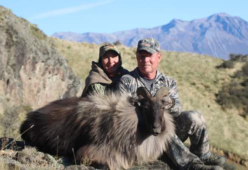 Steve Toft - Bull Tahr