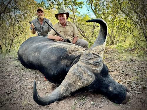 Steve Toft - Cape Buffalo