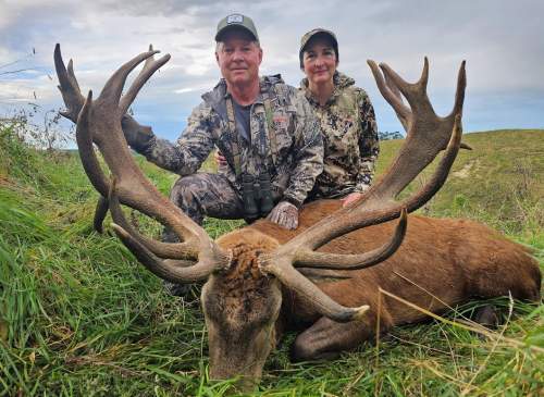 Steve Toft - Red Stag