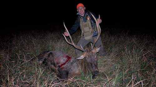 Chris Butterfield - Colorado Elk - Black Powder